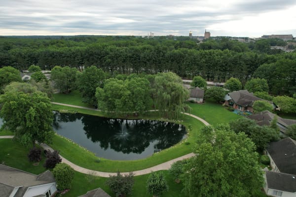 Aerial view of a serene pond surrounded by greenery