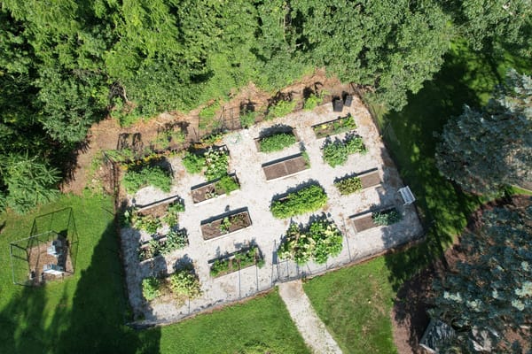 Aerial view of a vegetable garden area