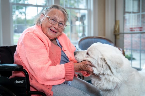 Resident interacting with a therapy dog in a common area