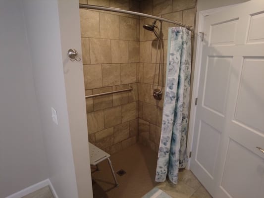 Accessible bathroom shower with grab bars