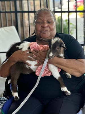 Creekwood Nursing & Rehabilitation