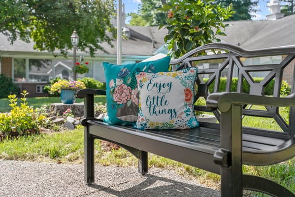 A bench with colorful cushions in a garden area