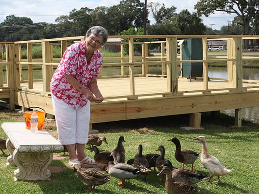Resident feeding ducks at a lakeside view