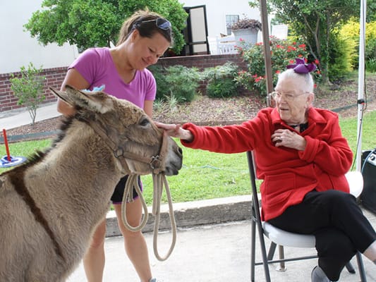 Resident interacting with therapy animal outdoors