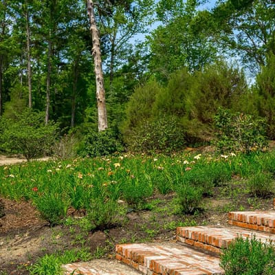 Beautiful garden pathway with blooming flowers