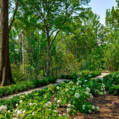 Beautiful garden pathway with blooming flowers