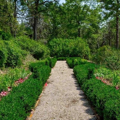 A serene garden path surrounded by greenery