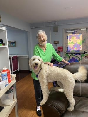 Sycamore Heights Health and Rehabilitation