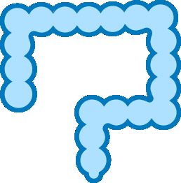 Perkins Country Manor