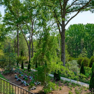 Beautiful garden with trees and flowering plants
