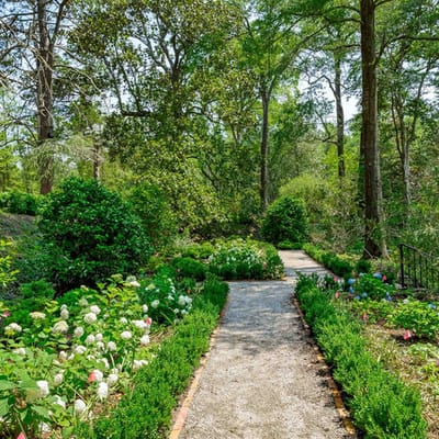 Pathway through a vibrant garden with flowering plants