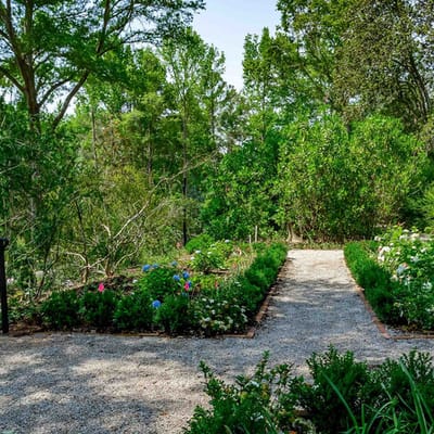 Peaceful garden path lined with flowers