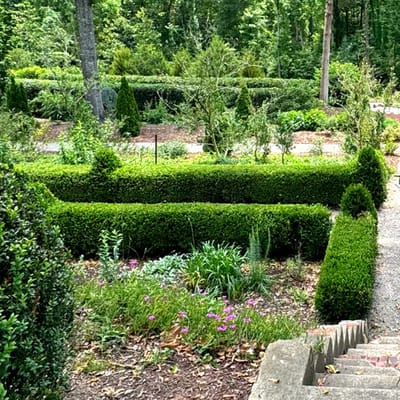 Beautifully landscaped garden area with greenery and flowers