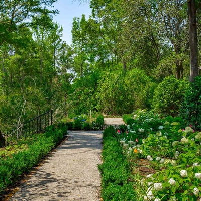 Walkway in a vibrant garden area