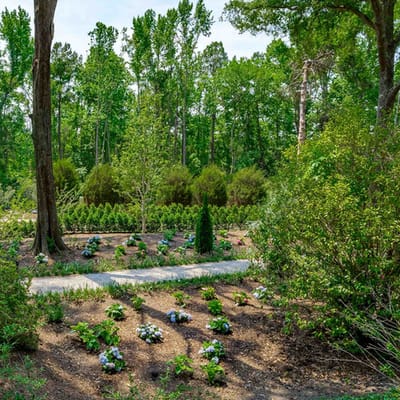 Beautifully landscaped garden with walking path
