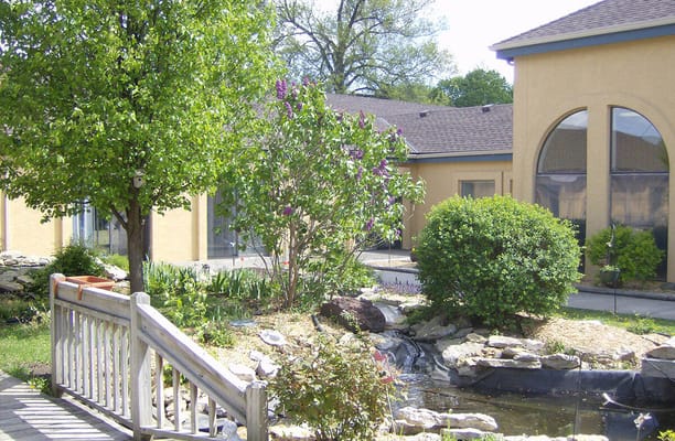 Lush garden area with a pond and greenery