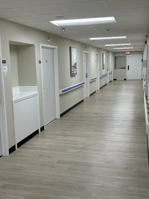 A well-lit corridor with doors and artwork