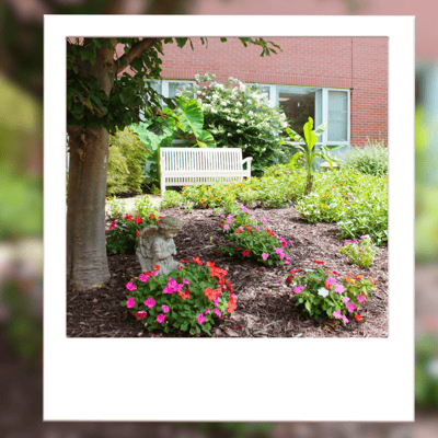 Well-maintained garden with flowers and bench