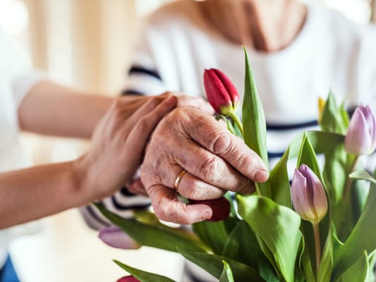 Seasons Rehab and Healthcare Center