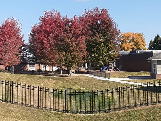 Outdoor space with colorful trees and playground equipment