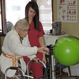 Livingston Manor Care Center