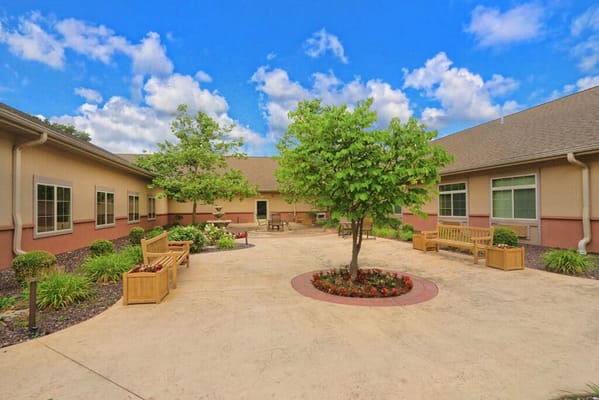 A serene courtyard with trees and benches