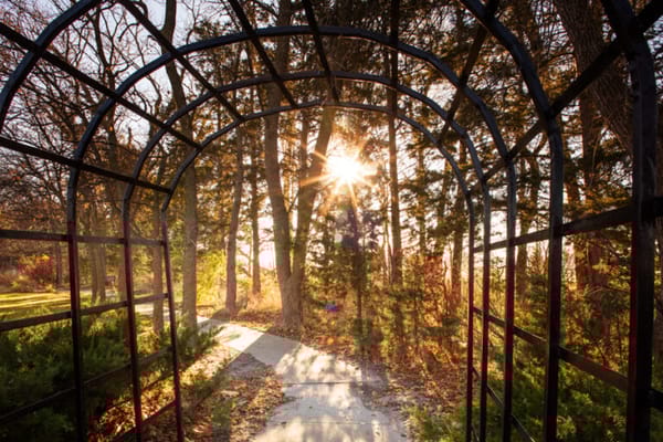 Pathway through a shaded garden archway