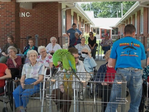 Residents enjoying an outdoor animal presentation