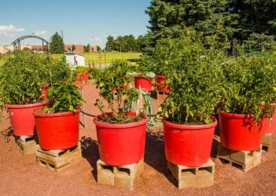 Northfield Retirement Communities Care