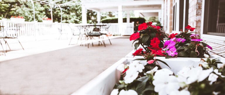 Colorful flowers in a planter on a patio
