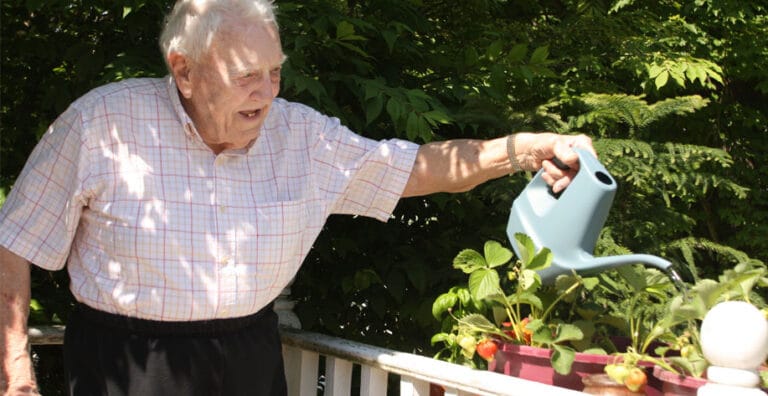Senior resident watering plants in a garden
