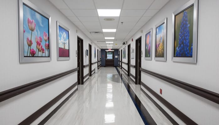 Brightly lit hallway with framed artworks on the walls