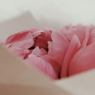 Complete Care At Monmouth, Llc