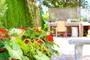 Homestead Rehabilitation & Health Care Center