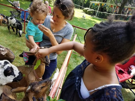 Children and adults interacting with goats in a petting zoo