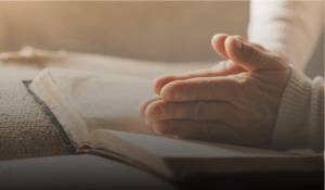 Leisure Chateau Rehabilitation