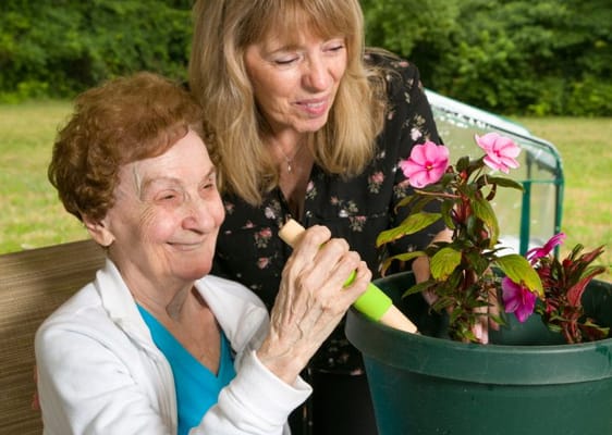 Tower Lodge Care Center