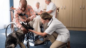 King Manor Care And Rehabilitation Center