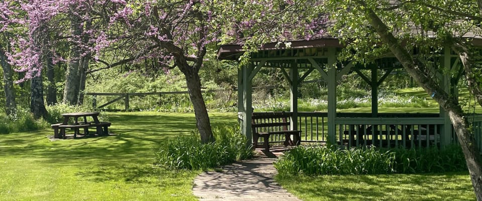 A peaceful garden gazebo surrounded by flowering trees