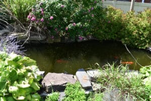 Fishkill Center for Rehabilitation and Nursing