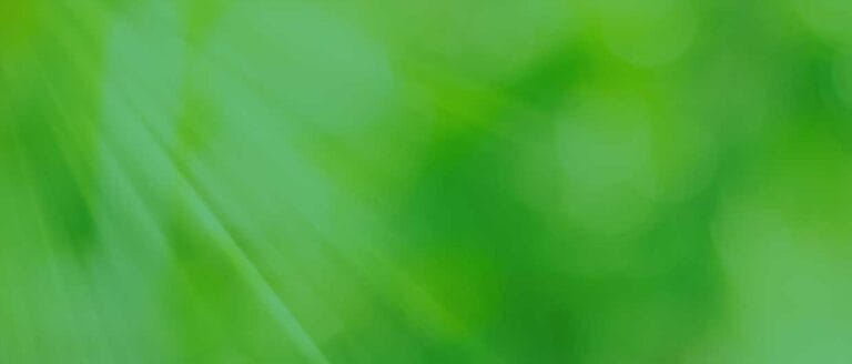 Eden Rehabilitation & Nursing Center