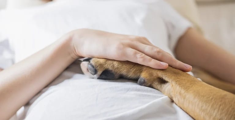 Long Beach Nursing and Rehabilitation Center