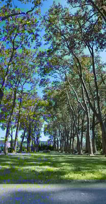 Bronx Gardens Rehabilitation and Nursing Center