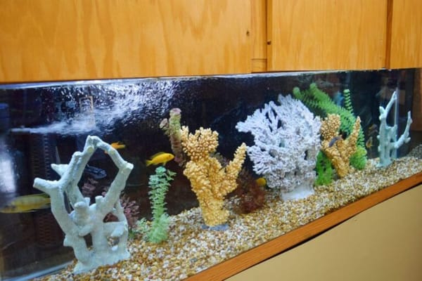 Highland Rehabilitation and Nursing Center