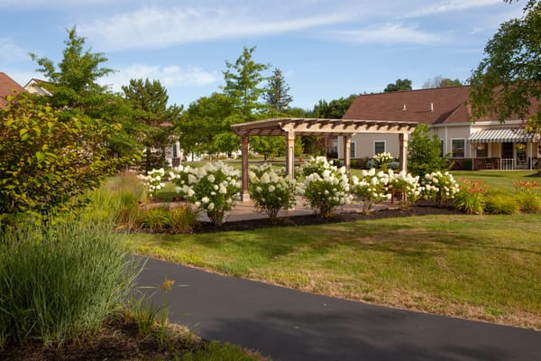 Beautiful outdoor garden with flowers and gazebo