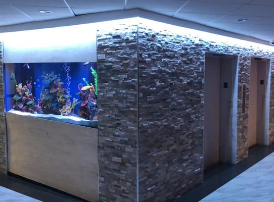 Indoor aquarium in a well-lit hallway