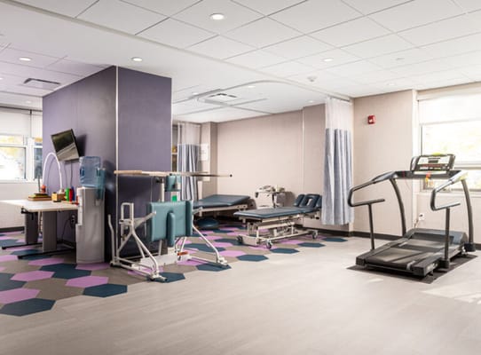 Interior view of a therapy gym with equipment
