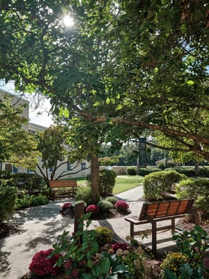 Serene garden area with benches and flowers