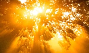 East Cascade Retirement Community