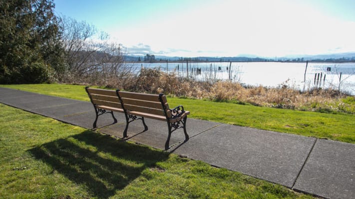 Bench overlooking a scenic lake view